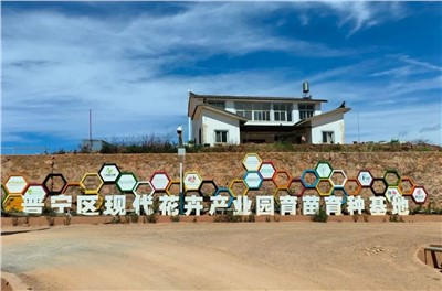 【案例故事】享譽世界的春城花都，世邦助力云南晉寧走出“芬芳”致富路